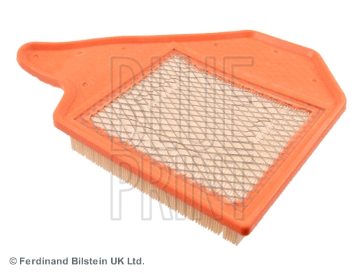 Oro filtras BLUE PRINT ADA102252