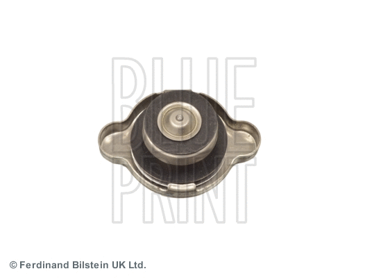Radiatoriaus dangtelis BLUE PRINT ADC49909