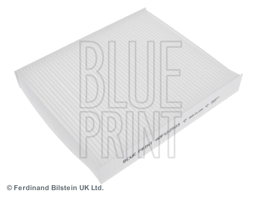 Salono filtras BLUE PRINT ADF122503