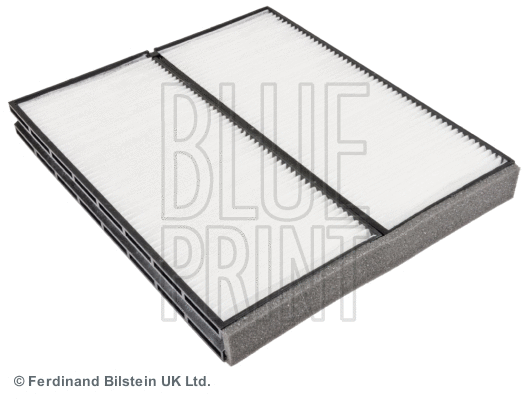 Salono filtras BLUE PRINT ADG02556
