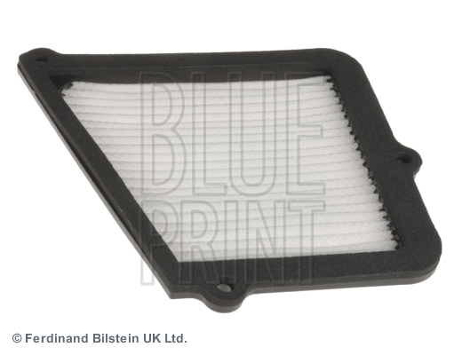 Salono filtras BLUE PRINT ADG02568