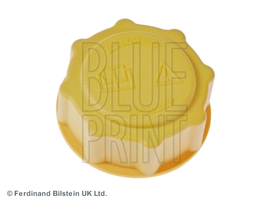 Radiatoriaus dangtelis BLUE PRINT ADG09901