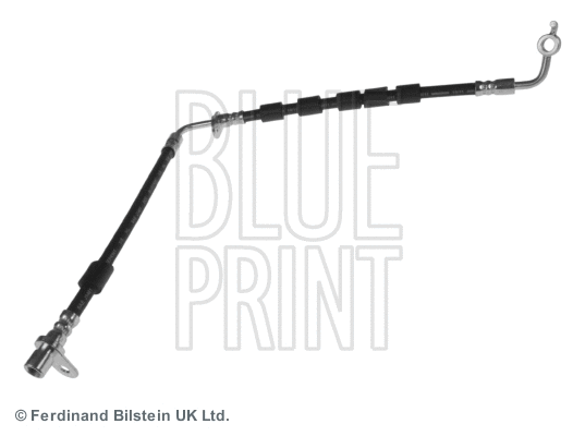 Stabdžių žarnelė BLUE PRINT ADM553124