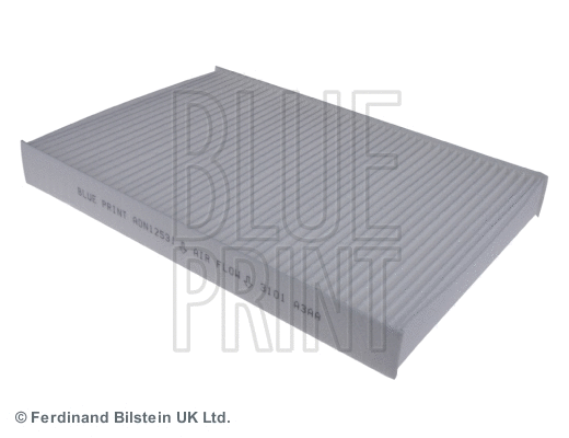 Salono filtras BLUE PRINT ADN12531