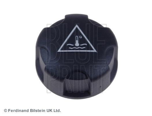 Radiatoriaus dangtelis BLUE PRINT ADT39906