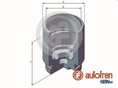 Stabdžių apkabos (suporto) stūmoklis AUTOFREN SEINSA D025293