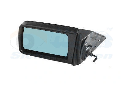 Išorinis veidrodėlis VAN WEZEL 3024803
