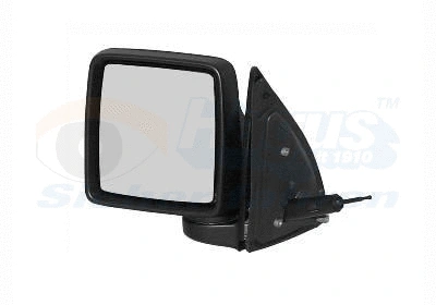 Išorinis veidrodėlis VAN WEZEL 3789803