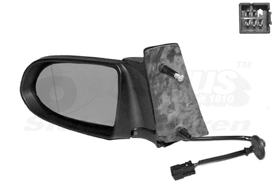 Išorinis veidrodėlis VAN WEZEL 3790807
