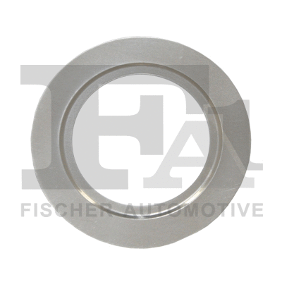 EGR vožtuvo tarpinė FA1 250-990