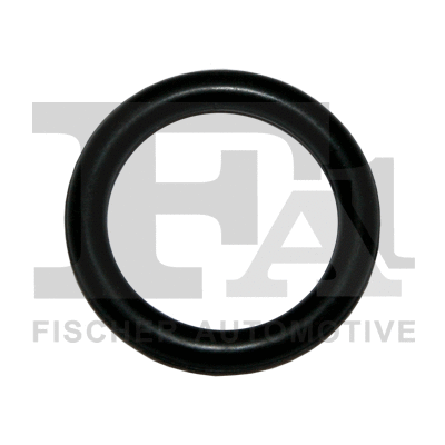 Įsiurbimo kolektoriaus tarpinė FA1 513-004