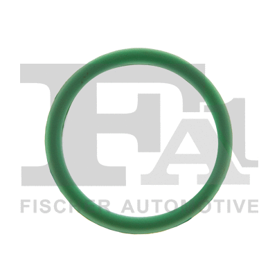 Įsiurbimo kolektoriaus tarpinė FA1 521-007