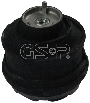 Variklio montavimas GSP 510544