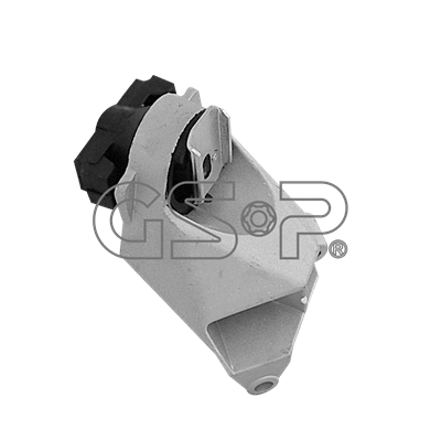 Variklio montavimas GSP 510779