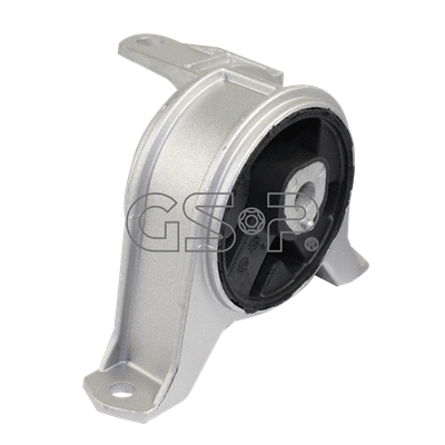 Variklio montavimas GSP 511646