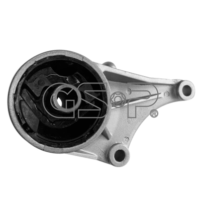 Variklio montavimas GSP 512472