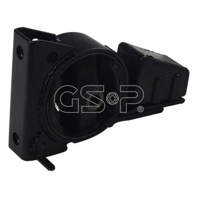 Variklio montavimas GSP 513721