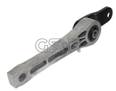 Variklio montavimas GSP 513832