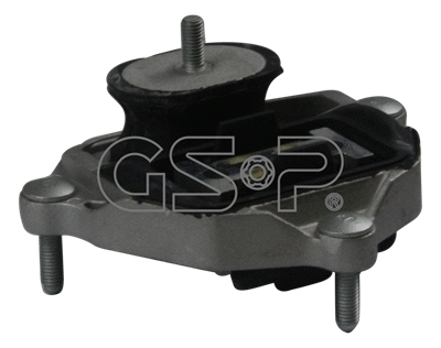 Variklio montavimas GSP 513833