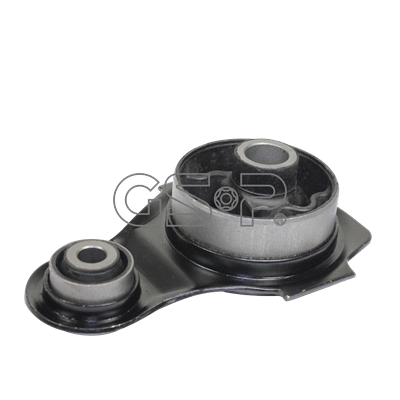 Variklio montavimas GSP 514348