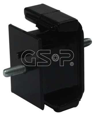 Variklio montavimas GSP 514580