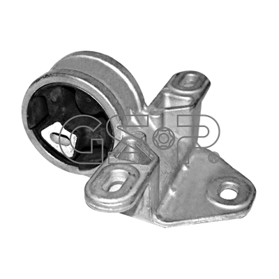 Variklio montavimas GSP 514605