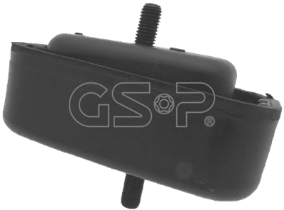 Variklio montavimas GSP 514645