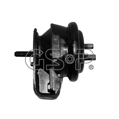 Variklio montavimas GSP 514772