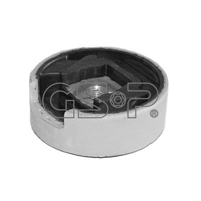Variklio montavimas GSP 516544