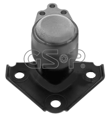 Variklio montavimas GSP 517190