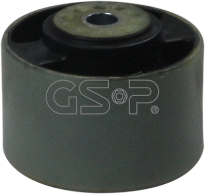 Variklio montavimas GSP 517859
