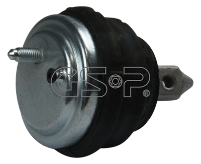 Variklio montavimas GSP 517953