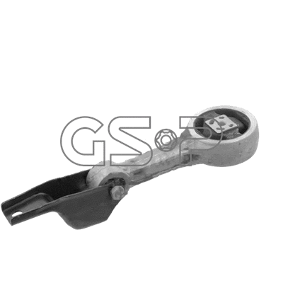 Variklio montavimas GSP 517978