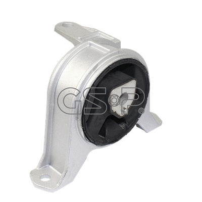 Variklio montavimas GSP 518027