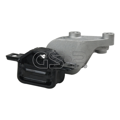 Variklio montavimas GSP 530726