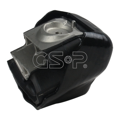 Variklio montavimas GSP 531691
