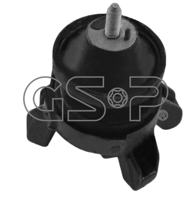Variklio montavimas GSP 532655