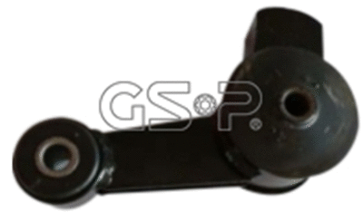 Variklio montavimas GSP 533913