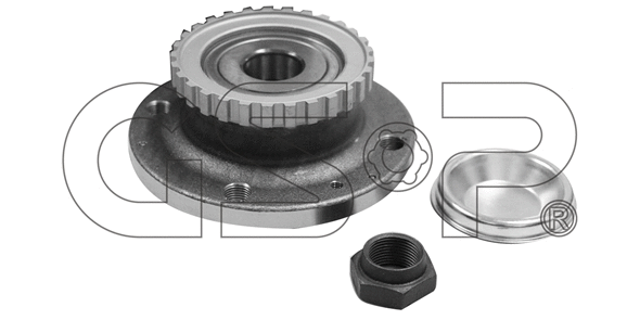 Rato guolio komplektas GSP 9225013K