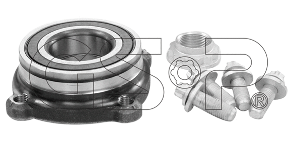 Rato guolio komplektas GSP 9245012K