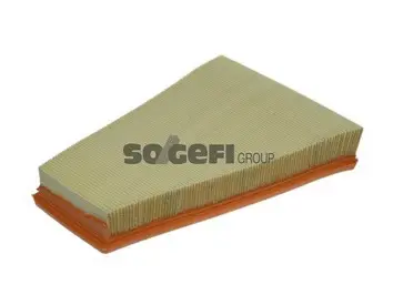 Oro filtras PURFLUX A1224