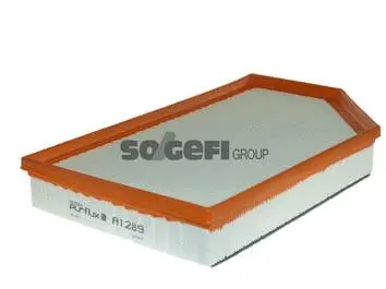 Oro filtras PURFLUX A1289