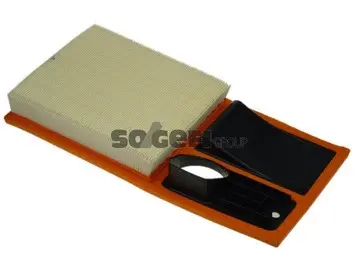 Oro filtras PURFLUX A1301
