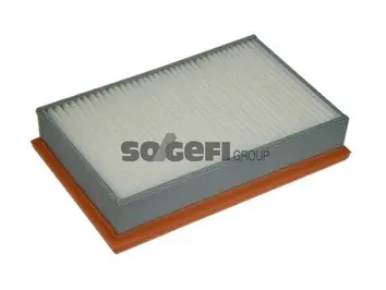 Oro filtras PURFLUX A1320