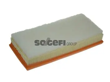 Oro filtras PURFLUX A1325