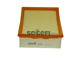 Oro filtras PURFLUX A1615