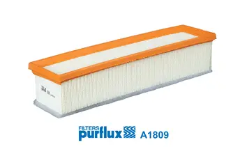 Oro filtras PURFLUX A1809