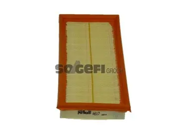 Oro filtras PURFLUX A517