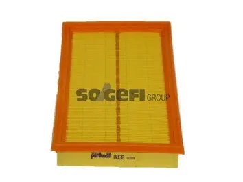 Oro filtras PURFLUX A838