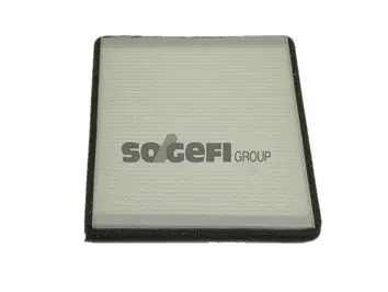 Salono filtras PURFLUX AH114